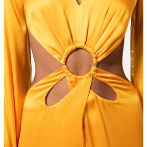 Cult Gaia Jasmin Gown